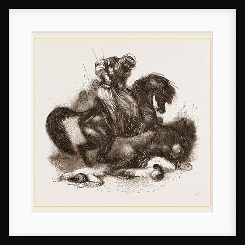 Arabian war-horse by Anonymous