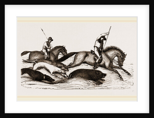 Boar-hunting in India by Anonymous