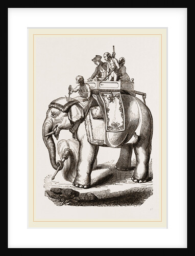 Warren Hastings' Elephant by Anonymous