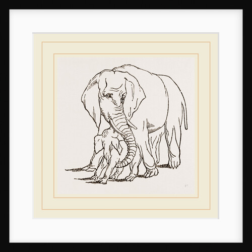 Female Elephant and her young one by Anonymous