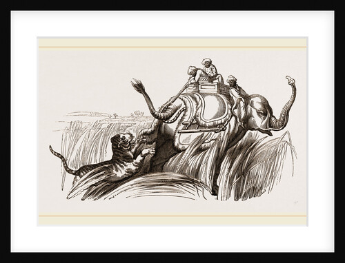 On an Elephant, Tiger at bay by Anonymous