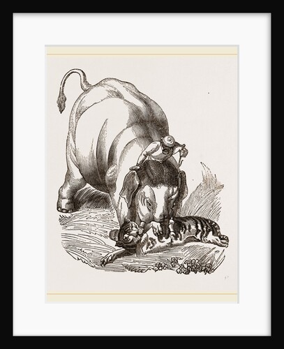 Elephant pinning a Tiger by Anonymous