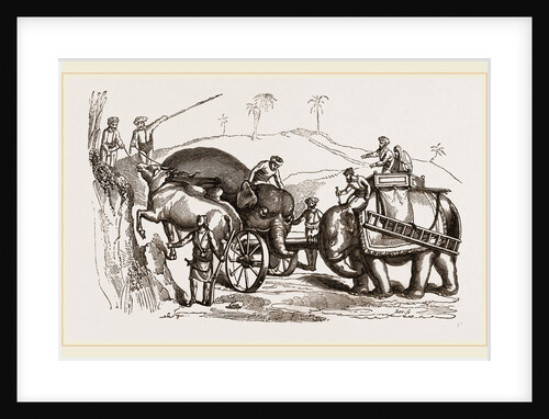 Elephants conveying Artillery through bad roads by Anonymous