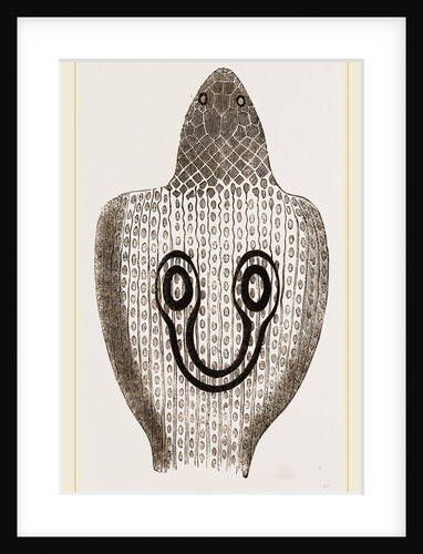 Hood of Naja by Anonymous