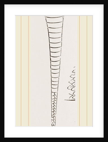 Tail of Brown's Acanthophis by Anonymous