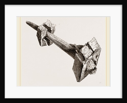 Tusk of Sword-fish driven into timbers a ship by Anonymous