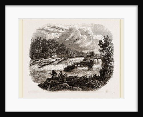 Coleraine Salmon-leap on the Bann, Northern Ireland by Anonymous