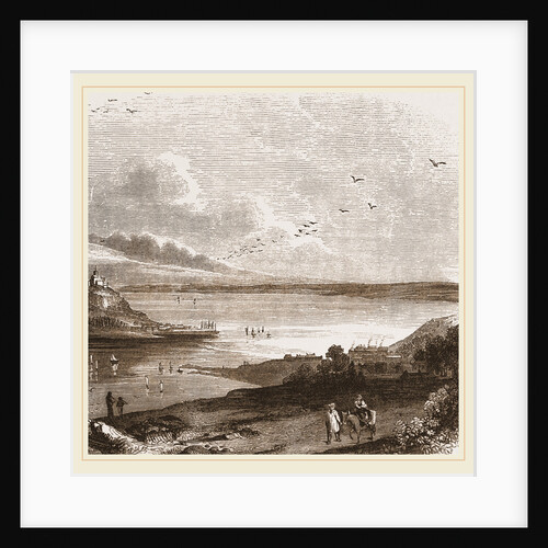 Pilchard fishing in Mount's Bay Cornwall, UK by Anonymous