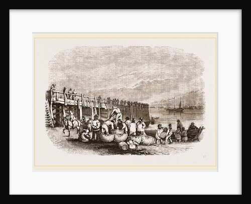 Herring-boats at Yarmouth Jetty, UK by Anonymous