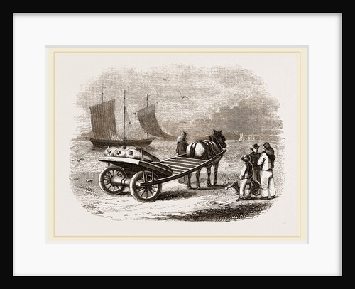 Yarmouth Beach-cart with Fish, UK by Anonymous