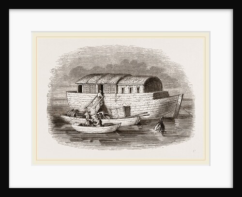 Fish-bark of St Petersburg, Russia by Anonymous