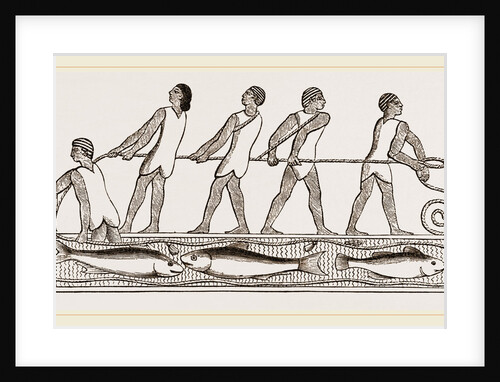 Ancient Egyptians fishing with drag-net, Egypt by Anonymous