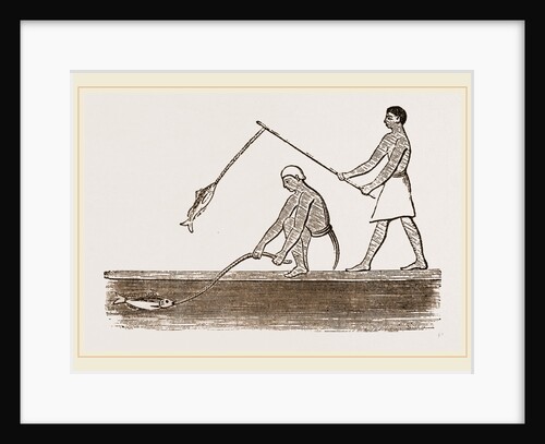 Ancient Egyptians angling, Egypt by Anonymous