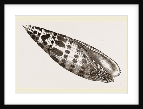 Episeopal Mitre by Anonymous