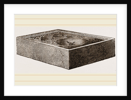 Ant-lion and Pit in Box by Anonymous