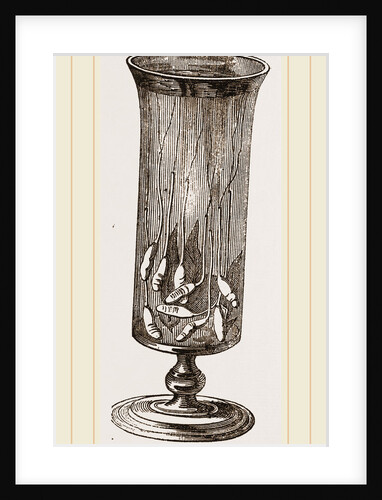 Larvae of Rat-tailed Maggots by Anonymous