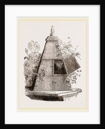 Reaumur's Pyramidal Hive by Anonymous