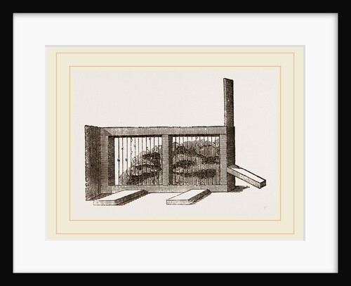 Huber's Ant-Apparatus by Anonymous