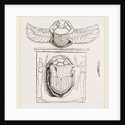 Scarabaei from Egyptian Monuments by Anonymous