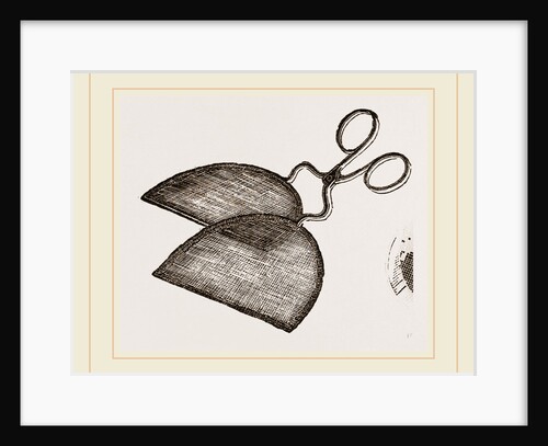 Ring-Net and Forceps by Anonymous