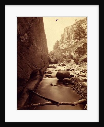 Temple Creek Canon by Anonymous