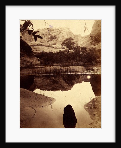 Water Pocket Creek, one of the pockets by Anonymous
