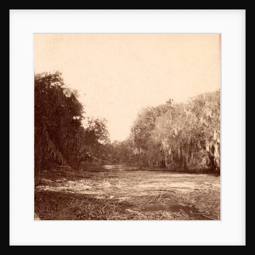 Mud Creek, Hilton Head Island, S.C. by Anonymous