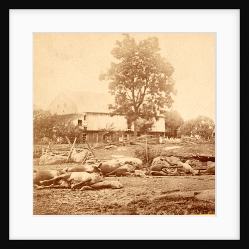 View at Losser's (i.e. Trostle's) barn, where the 9th Massachusetts Battery was cut up by Anonymous
