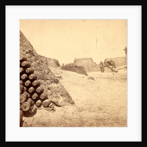 Shells in Putnam, Charleston Harbor, S.C. by Anonymous
