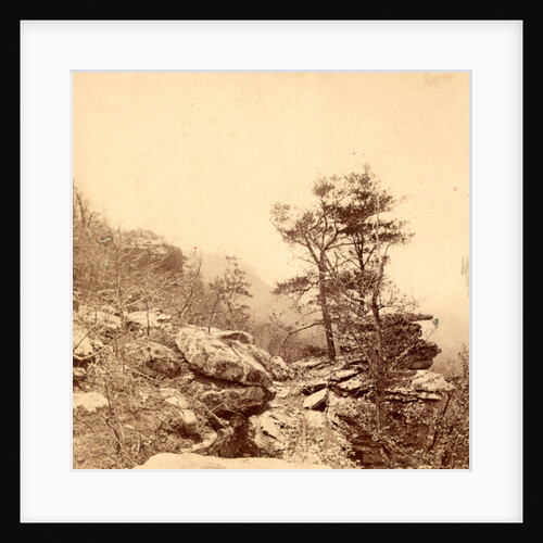 View on the top of Lookout Mountain, Tenn., USA by Anonymous