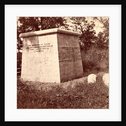 On the battlefield at Stone River, USA by Anonymous