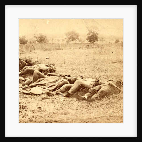 Dead soldiers lying side by side in a field, USA by Anonymous