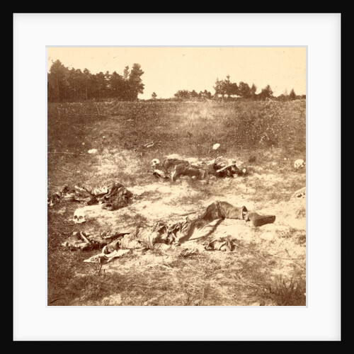 Unburied dead on battlefield, USA by Anonymous
