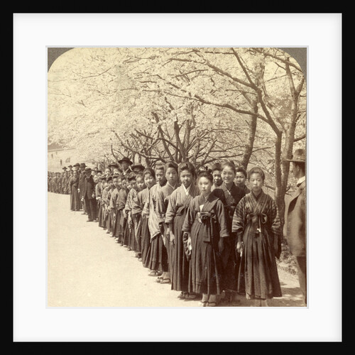 Holiday outing of a Japanese school, under the beautiful cherry blossoms, Tokyo, Japan by Anonymous