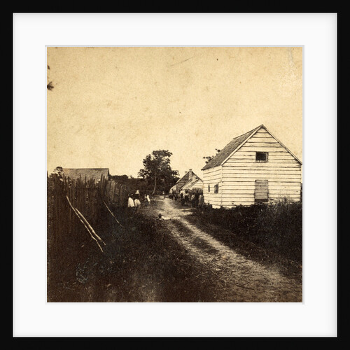 Street and Negro quarters, Retreat Plantation, Port Royal Island, S.C., USA by Anonymous