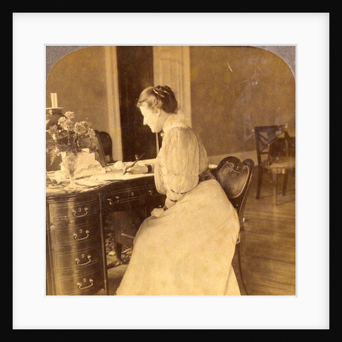 Mrs. Theodore Roosevelt, at home in the White House, Washington, USA by Anonymous