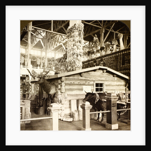 Log cabin occupied by President Roosevelt, when a ranchman in North Dakota, Agricultural Building, Louisiana Purchase Exposition, St. Louis, USA by Anonymous