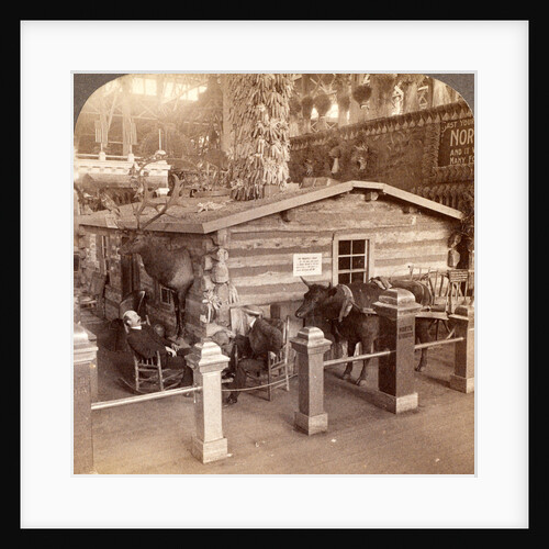 Log cabin home of President Roosevelt brought from North Dakota to the World's Fair, St. Louis, USA by Anonymous