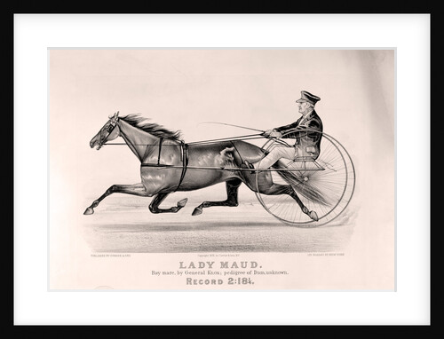 Lady Maud: bay mare, by General Knox by Anonymous