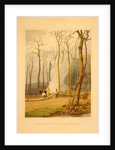 Spring--Burning fallen trees in a girdled clearing--Western scene by G. Harvey