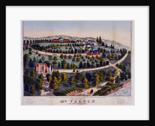 Birds eye view of Mt. Vernon the home of Washington by Anonymous