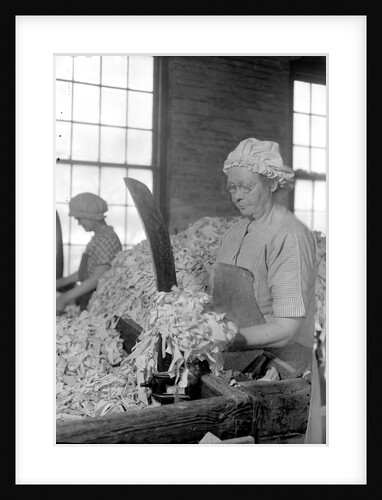Mt. Holyoke, Massachusetts - Paper. American Writing Paper Co. Rag sorting (Irish), 1936 by Lewis Hine