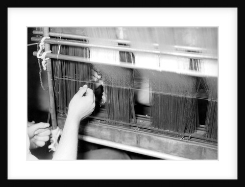 Paterson, New Jersey - Textiles. Wishnack Silk Company. Picture of a warp being entered. by Lewis Hine