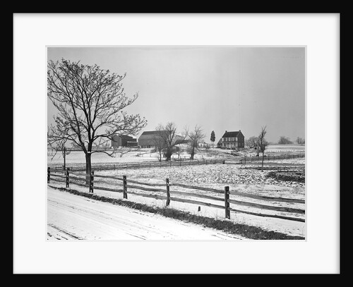 Lancaster, Pennsylvania - Housing. Adjoining farms on side road near Petersburg, 1936 by Lewis Hine