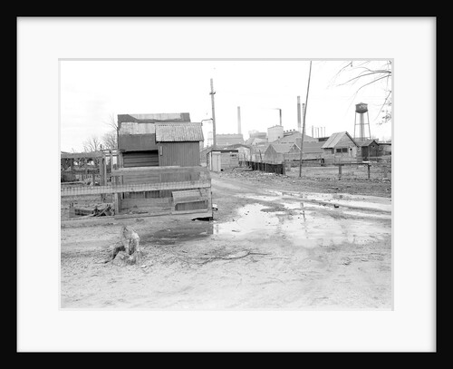 Millville, New Jersey - Scenes. A view of Whitall Tatum Company houses by Lewis Hine