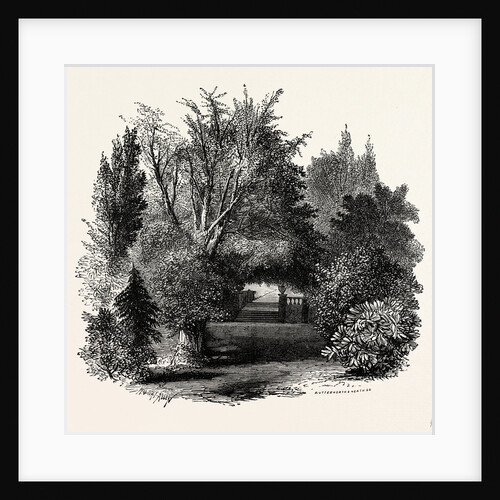 In the Grounds of Lowther Castle by Anonymous