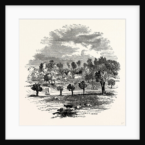 The Trent and Weston Cliff by Anonymous