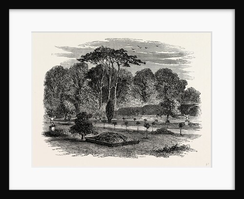 The Gardens and Yew Tunnel, Melbourne Hall by Anonymous