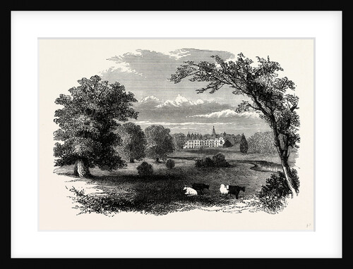 Burleigh House, from the Park by Anonymous
