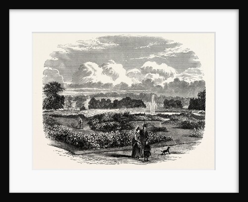 The Garden, Audley End by Anonymous